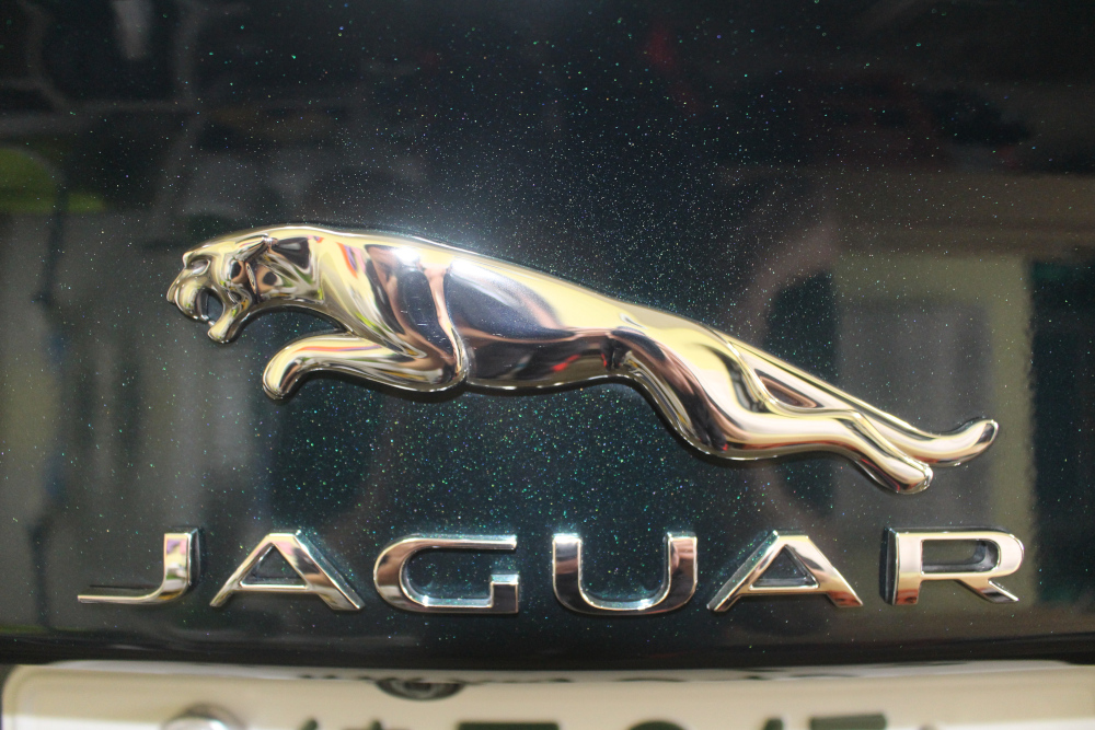 2204jaguar_8.jpg